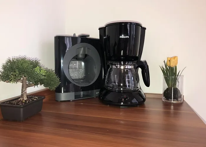 Apartament Maximilian In Old Town Innsbruck