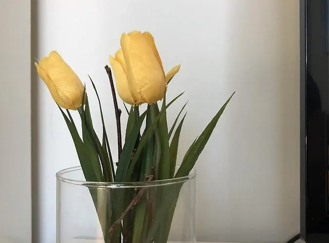 Maximilian In Old Town Apartament Innsbruck