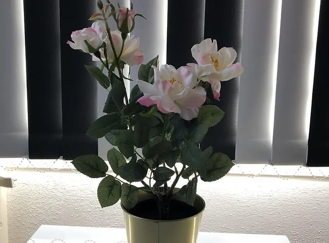 Maximilian In Old Town