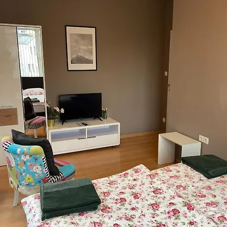 Apartment Maximilian In Old Town Innsbruck