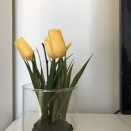 Maximilian In Old Town Apartment Innsbruck