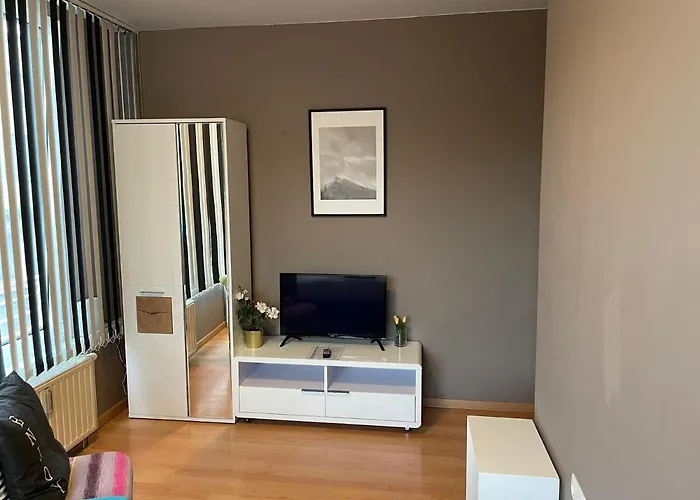 Maximilian In Old Town Инсбрук